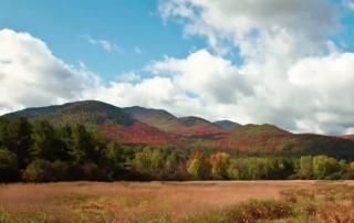 ADKFall