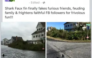 FauxFin