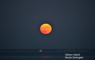 Full Moon Gibson Island