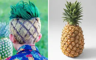 pineapple_hair_1