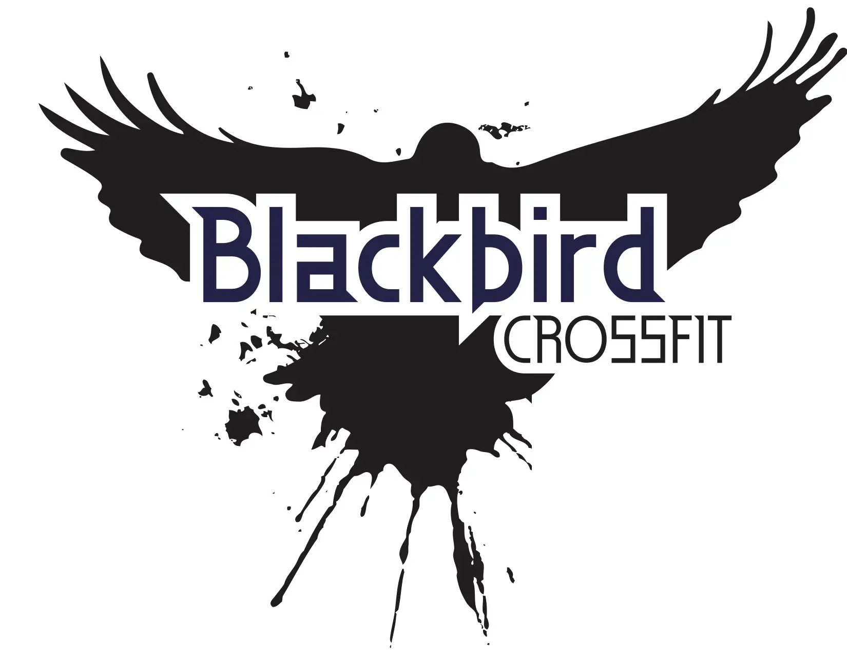 Blackbird_MDTrek