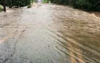 Summer Flood