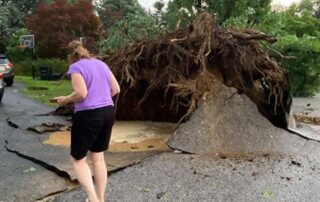 Tree Damage ECityJune22_justinweather2