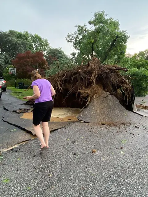 Tree Damage ECityJune22_justinweather2