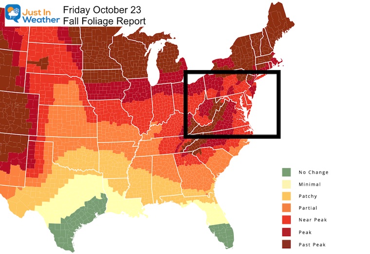 Fall Foliage Report October 23 2002